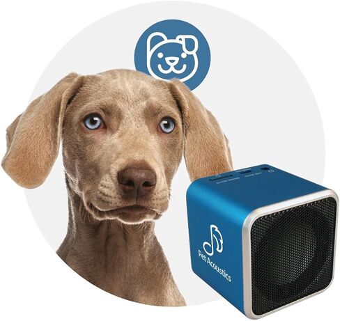 Pet Tunes Bluetooth Speaker Preloaded with Calming Canine Music in Saudi Arabia