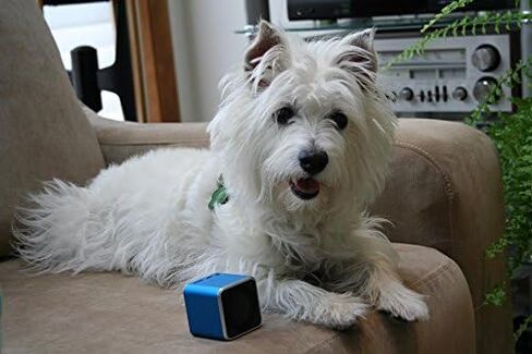 Pet Tunes Bluetooth Speaker Preloaded with Calming Canine Music in Saudi Arabia