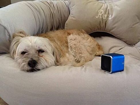 Pet Tunes Bluetooth Speaker Preloaded with Calming Canine Music in Saudi Arabia