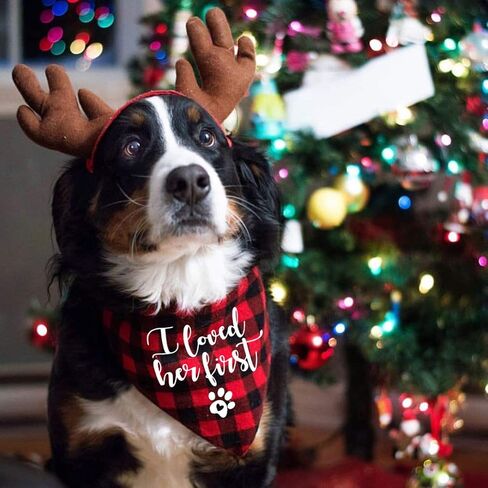 Family Kitchen I Thought I was The Baby Pregnancy Announcement Triangle Red Plaid Pet Dog Bandana, Gender Reveal Photo Prop Pet Scarf for Pet Birthday Gift in Kuwait