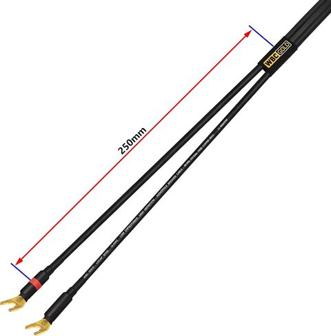 أفضل كابلات في العالم 8 أقدام WBC-Gold-Gold-LocAP-SPKR-14 AWG-باكسيات منخفضة-انخفاض الحث-نقاء عالي OFC-زوج مكبر صوت Audiophile HIFI مع سدادات موز Gold Gold in Kuwait