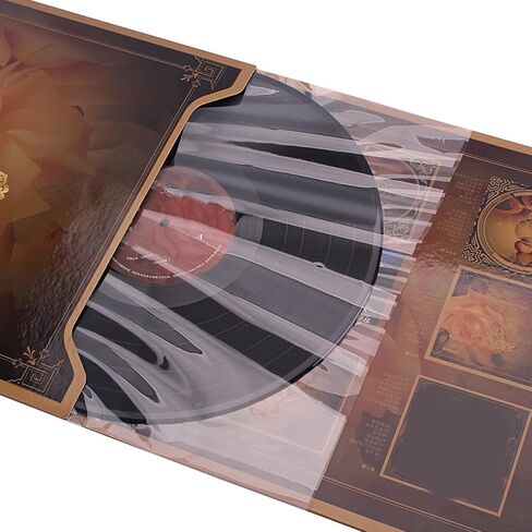 Album Covers Clear Protective Sleeves Record Albums Storage Bag for Records Clear Outer Sleeves in Saudi Arabia