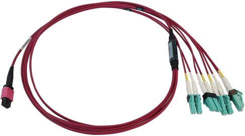 Tripp Lite Multimode Fiber Patch Cable, 50/125 OM4 MPO to 4X Switchable LC (F/M), 12 Fiber, Magenta, LSZH Jacket, 1 Meter / 3.3 Feet, Lifetime Limited Manufacturer's Warranty (N845X-01M-8L-MG) in Saudi Arabia