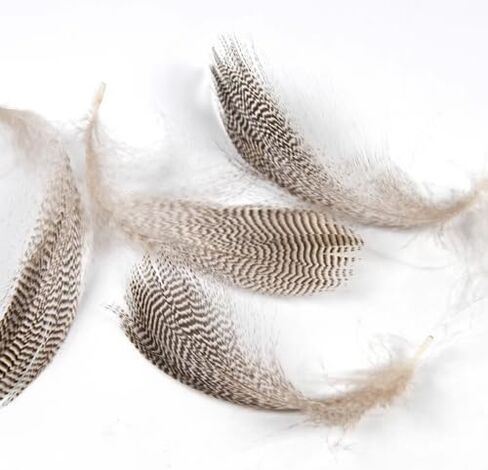 50pcs ذبابة يربط mallard ناعمة جناح الريشة mayflies أجنحة بطة بطة hackles لمالارد in Saudi Arabia