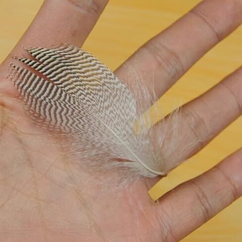 50pcs ذبابة يربط mallard ناعمة جناح الريشة mayflies أجنحة بطة بطة hackles لمالارد in Saudi Arabia