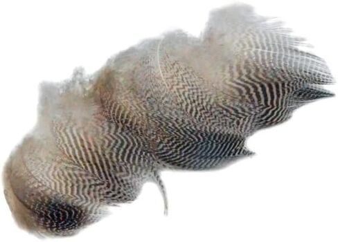50pcs ذبابة يربط mallard ناعمة جناح الريشة mayflies أجنحة بطة بطة hackles لمالارد in Saudi Arabia