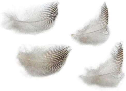 50pcs ذبابة يربط mallard ناعمة جناح الريشة mayflies أجنحة بطة بطة hackles لمالارد in Saudi Arabia