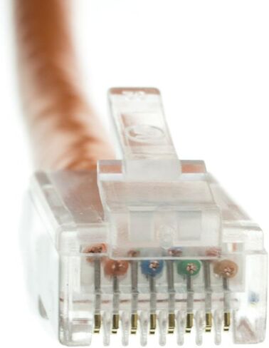 CableWholesale Cat5e Ethernet Cable, 24AWG Network Cable with RJ45 Gold Plated Connector, 4 Pair Stranded Bare Copper, Bootless Unshielded Twisted Pair (UTP) Internet Patch Cable, 14 Foot, Orange in Saudi Arabia