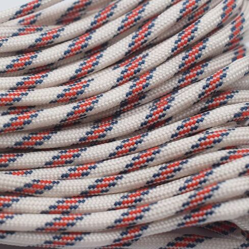 7 Strand Core 550lb Paracord Parachute Cord Lanyard Mil Spec Type III-100ft (141#) in Saudi Arabia