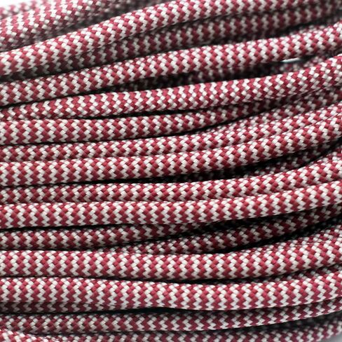7 Strand Core 550lb Paracord Parachute Cord Lanyard Mil Spec Type III-100ft (141#) in Saudi Arabia