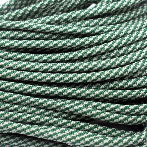 7 Strand Core 550lb Paracord Parachute Cord Lanyard Mil Spec Type III-100ft (141#) in Saudi Arabia