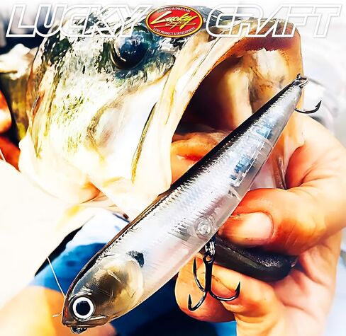 Lucky Craft Lucky Craft Sammy 115 ' in Saudi Arabia