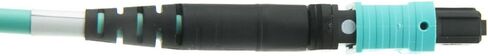 كابل الألياف البصرية الألياف الكبلية ، MTP/MTP (MPO) ، Multimode OM3 ، Duplex ، 12 Strand ، 40/100 GBPS ، 50/125 ، 30 Meter (98.4 قدم) in Saudi Arabia