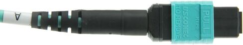كابل الألياف البصرية الألياف الكبلية ، MTP/MTP (MPO) ، Multimode OM3 ، Duplex ، 12 Strand ، 40/100 GBPS ، 50/125 ، 30 Meter (98.4 قدم) in Saudi Arabia