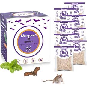 8 حزمة الخفافيش طارد في الهواء الطلق طارد الماوس القوارض ، طارد ردع الزيت النعن in Kuwait