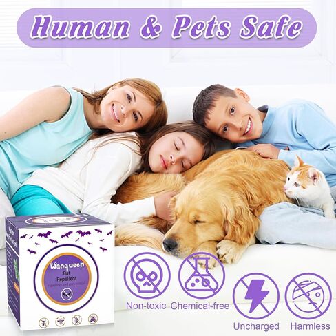 8 حزمة الخفافيش طارد في الهواء الطلق طارد الماوس القوارض ، طارد ردع الزيت النعن in Kuwait