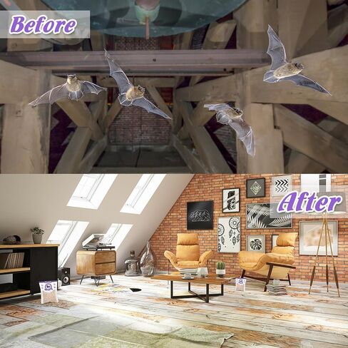 8 حزمة الخفافيش طارد في الهواء الطلق طارد الماوس القوارض ، طارد ردع الزيت النعن in Kuwait