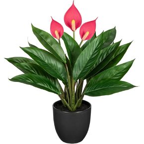 13.8 Inch Fake Monstera Potted Plant, Artificial Succulent Plants in Ceramic Pot Faux Tropical Plant for Indoor Outdoor Home Office Tabletop Shelf Garden Farmhouse Decorative in Kuwait