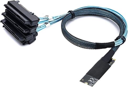 M.2 SFF-8643 إلى 4 X SAS 8482 CONTRALTER CABLER-12 جيجابت في الثانية من خادم عالي السرعة ، و 30AWG الأسلاك النحاسية ، والتوصيل والتشغيل (0.5M) in Saudi Arabia