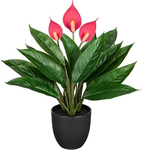 13.8 Inch Fake Monstera Potted Plant, Artificial Succulent Plants in Ceramic Pot Faux Tropical Plant for Indoor Outdoor Home Office Tabletop Shelf Garden Farmhouse Decorative in Kuwait