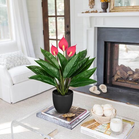 13.8 Inch Fake Monstera Potted Plant, Artificial Succulent Plants in Ceramic Pot Faux Tropical Plant for Indoor Outdoor Home Office Tabletop Shelf Garden Farmhouse Decorative in Kuwait