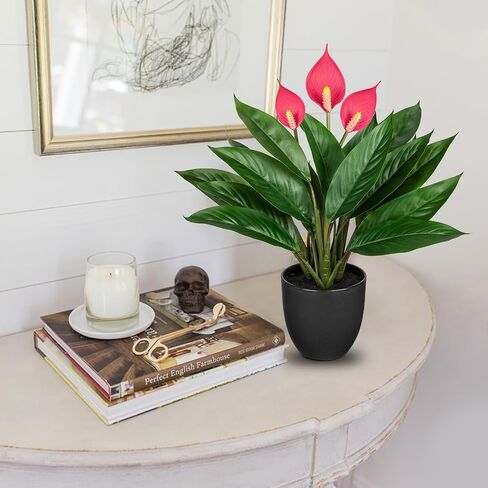 13.8 Inch Fake Monstera Potted Plant, Artificial Succulent Plants in Ceramic Pot Faux Tropical Plant for Indoor Outdoor Home Office Tabletop Shelf Garden Farmhouse Decorative in Kuwait