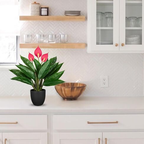 13.8 Inch Fake Monstera Potted Plant, Artificial Succulent Plants in Ceramic Pot Faux Tropical Plant for Indoor Outdoor Home Office Tabletop Shelf Garden Farmhouse Decorative in Kuwait