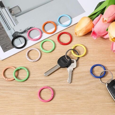 12 PCS Carabiner Spring O Rings 1 "Carabiner Clip keychain Contlulful Key Ring Keyrings Buckle لتوصيل سلاسل المفاتيح ، والتصفيق ، وملحقات DIY Charms in Saudi Arabia