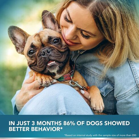 Well-Being Probiotics for Dogs - Support Digestive Health, Relieve Skin Discomfort, Manage Allergies, Sustain Yeast Balance, Fortify Immune System in Saudi Arabia