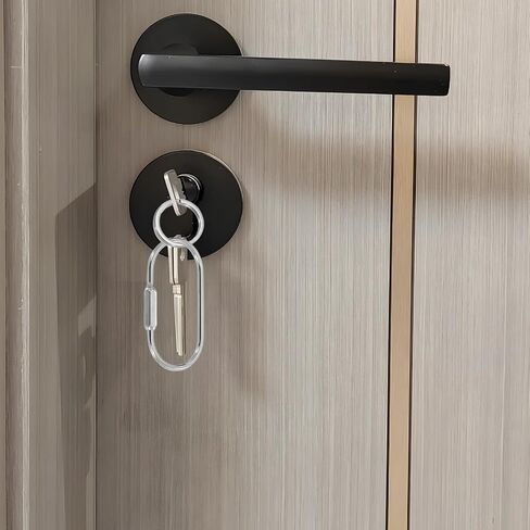 4 Pieces of Screw Lock Keychain, Screw Carabiner, Lightweight and Portable, can be Used for a Long Time, Unisex, Suitable for Home, Travel, Etc. (White Nickel Color) in Saudi Arabia