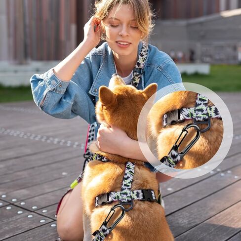 20 PCS MINI CARABINER CLIP ، 1.2 بوصة من سلاسل مفاتيح خطاف صغيرة من الزنبرك ، سوداء مصغرة لملحقات حقيبة الظهر في الهواء الطلق في الهواء الطلق. in Kuwait