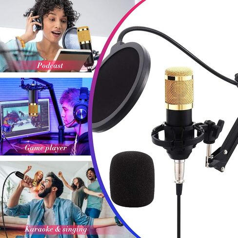 بطاقة الصوت ، بطاقة صوت مباشر متعدد الوظائف ، بطاقة ميكروفون لبطاقة الصوت ، مجموعة ميكروفون معدنية ، مجموعة قابلة للتعديل ، 12 مؤثرات صوتية في الخلفية in Kuwait