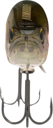 Shimano Ivory ARMAJOINT 190SS Flash Boost (AJ190SSSTIV) Fishing in Saudi Arabia