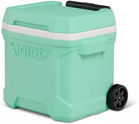 Igloos Profile II 16-Quart Whysed Booder مع مقبض التلسكوب ، عزل الحرارية ، سعة 24 كارن in Kuwait