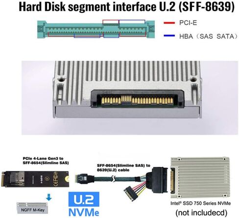 chenyang PCIe 4.0 M.2 NGFF to Slimline SAS SFF-8654 Adapter 2280MM with SFF-8654 to SFF-8639 Cable for U.2 SFF-8639 NVME PCIe SSD in Saudi Arabia