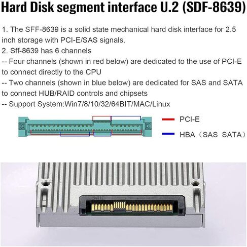 chenyang PCIe 4.0 M.2 NGFF to Slimline SAS SFF-8654 Adapter 2280MM with SFF-8654 to SFF-8639 Cable for U.2 SFF-8639 NVME PCIe SSD in Saudi Arabia