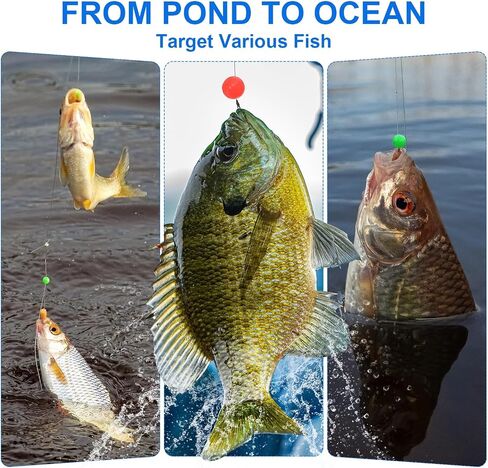 Fishing Beads Glow Soft Plastic Fishing Bait Eggs Lure Rigs Accessories, for Saltwater Freshwater in Saudi Arabia