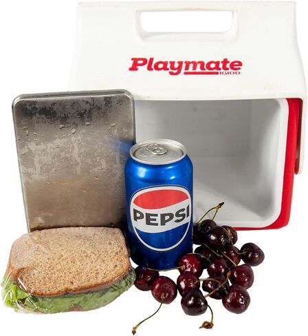 Stainless Steel Ice Pack for Cooler, Hiking and Fishing, Reusable and Long-Lasting in Saudi Arabia