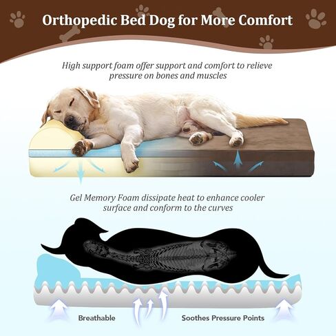 سرير كلب جامبو لتقويم العظام من WEVEGO، سرير كلب كبير بسمك 7.87 بوصة من جل إسفنج الذاكرة مع وسادة، سرير كلب من نسيج الفانيلا المتين للكلاب كبيرة الحجم، غطاء قابل للإزالة وبطانة مقاومة للماء للكلاب ذات السلالات الكبيرة in Kuwait
