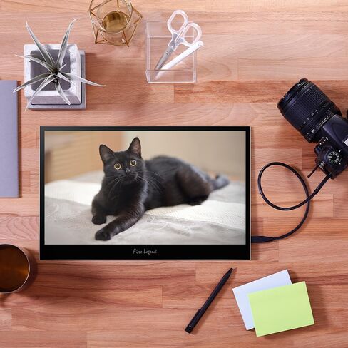 Acer Portable Monitor | 18.5" FHD IPS | Adaptive-Sync Support (FreeSync Compatible) | Slim Design | External Monitor for Laptop PC/Mac | 100Hz | 2 x USB 3.1 Type-C Port & HDMI 1.4 | PM191Q Ebmiuux in Saudi Arabia