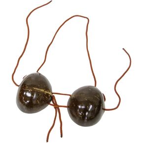 Amscan Womens Hawaiian Summer Luau Party Coconut Bra Top Wearables,, Brown