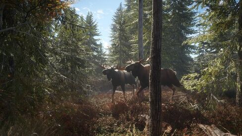 theHunter: Call of the Wild - Xbox One (Renewed) in Saudi Arabia