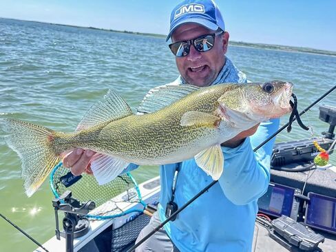 حزام Northland Tackle Baitfish-Image الدوار، بأحجام وألوان متنوعة in Saudi Arabia