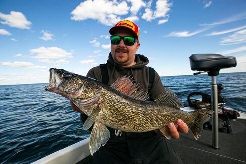 حزام Northland Tackle Baitfish-Image الدوار، بأحجام وألوان متنوعة in Saudi Arabia