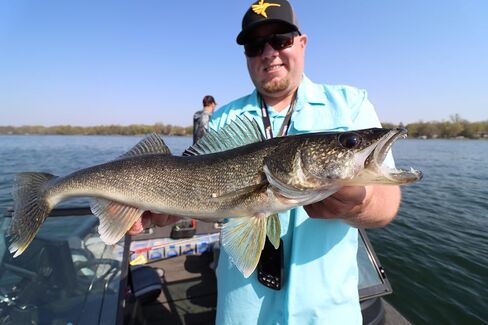 حزام Northland Tackle Baitfish-Image الدوار، بأحجام وألوان متنوعة in Saudi Arabia