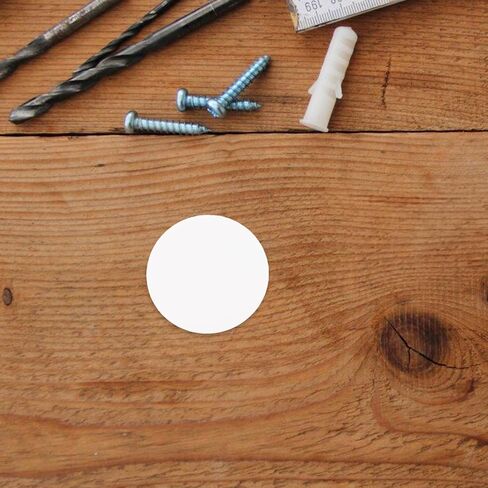 Pretyzoom 10pcs LED LED ضوء الناشر تصميم تصميم تصميم تصميم لأغطية ضوء السقف وظل ثريا LED المحمول من أجل الحماية والأناقة المحسنة in Saudi Arabia