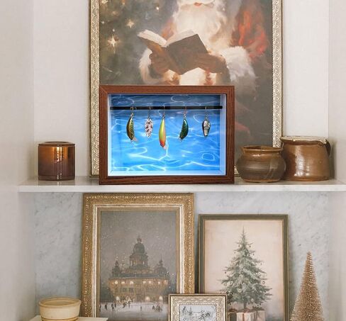 Fishing Lure Display Case, Small Fishing Bait Storage Box, Vintage Fishing Lures Decor, Fishing Lure Display Stand, Men's Gifts Can Be Used for Wall Decoration, Collection Room, Office in Kuwait