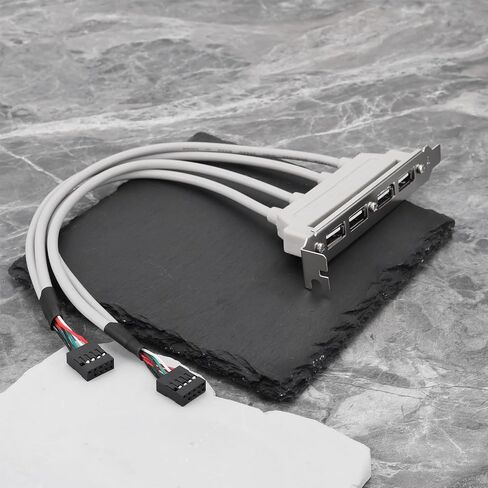 4 Ports USB 2.0 Female to 2 Motherboard 9Pin Header Cable with PCI-E Bracket in Saudi Arabia