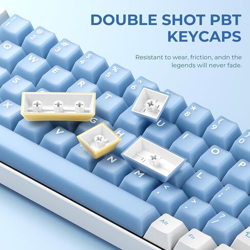 XVX Double Shot Keycaps Set 216 مفتاح ، ملف تعريف لوحة مفاتيح لوحة مفاتيح مخصصة ، أغطية مفاتيح شفافة Jade متوافقة مع لوحة مفاتيح ميكانيكية 61/64/68/84/87/100/104/108 in Kuwait