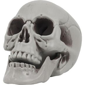 Skeleton Life Size for Halloween Skull Model 1:1 Replica Decor Graveyard Outdoor Human Adult
